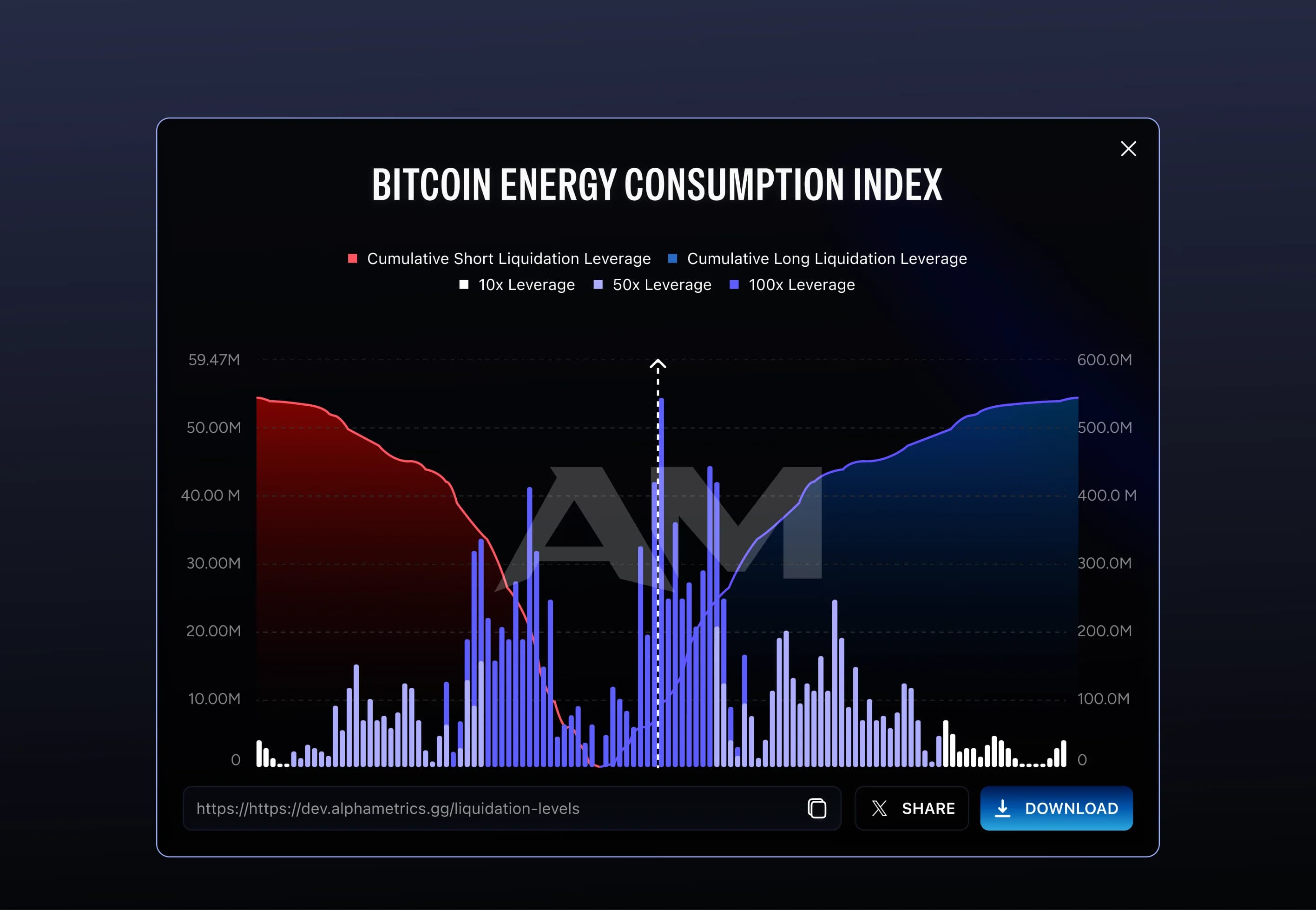 The Bitcoin liquidation leverage chart